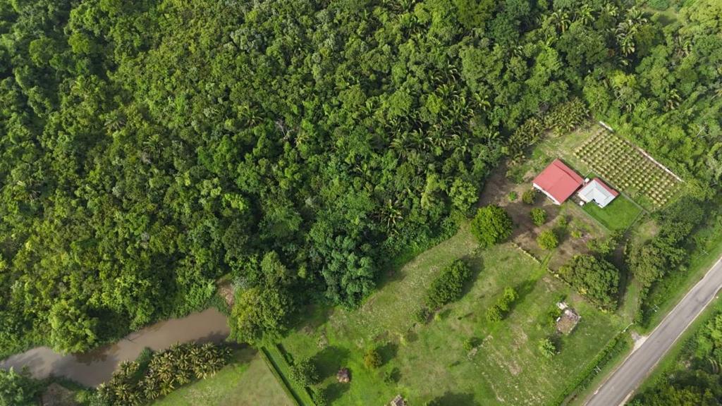 listing image with ID 65408