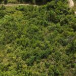 listing image thumbnail with ID 63685