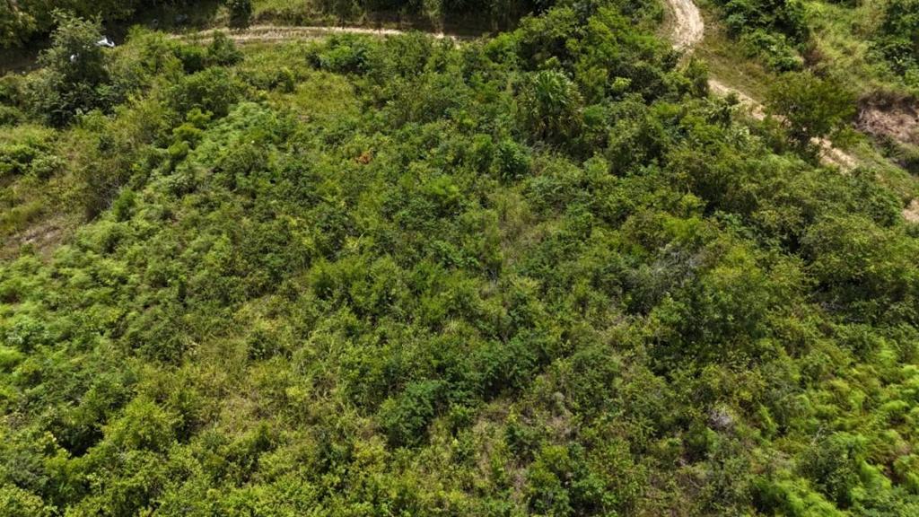 listing image with ID 63685