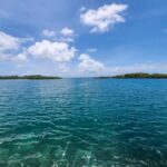 listing image thumbnail with ID 65844