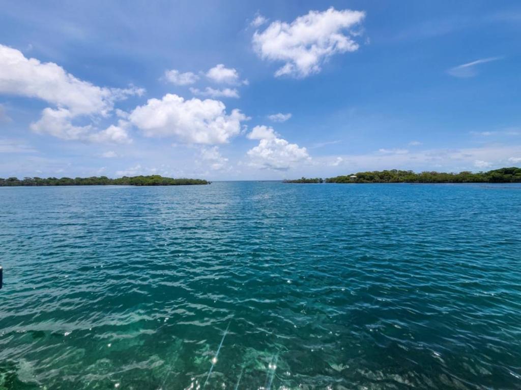 listing image with ID 65844