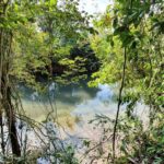 listing image thumbnail with ID 67350