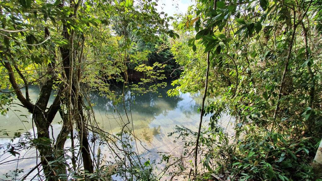 listing image with ID 67350