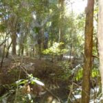 listing image thumbnail with ID 64079