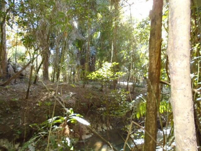 listing image with ID 64079