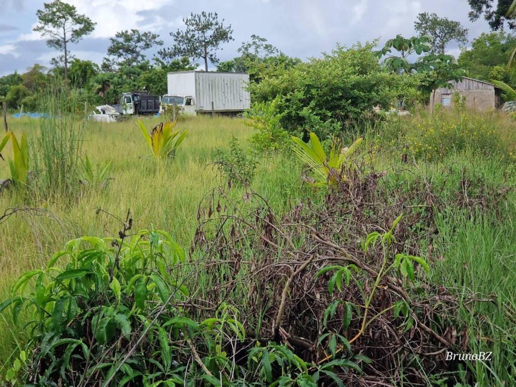 listing image with ID 68248