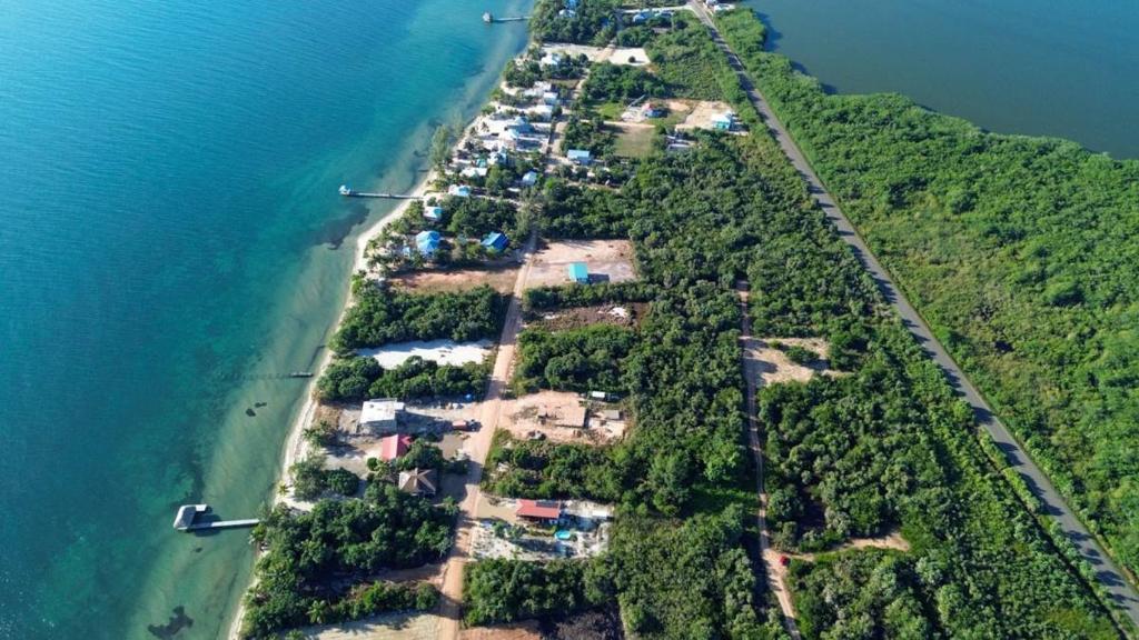 listing image with ID 67825