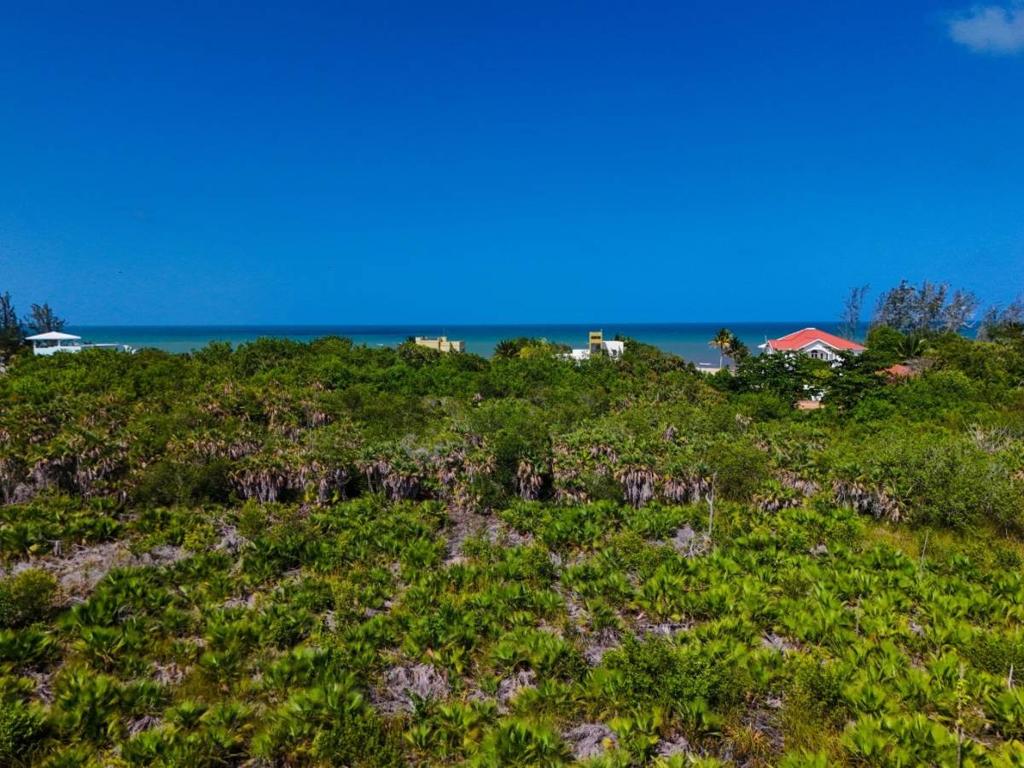 listing image with ID 68188