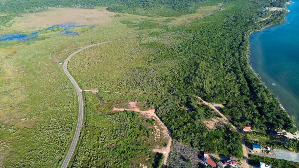 listing image with ID 67820