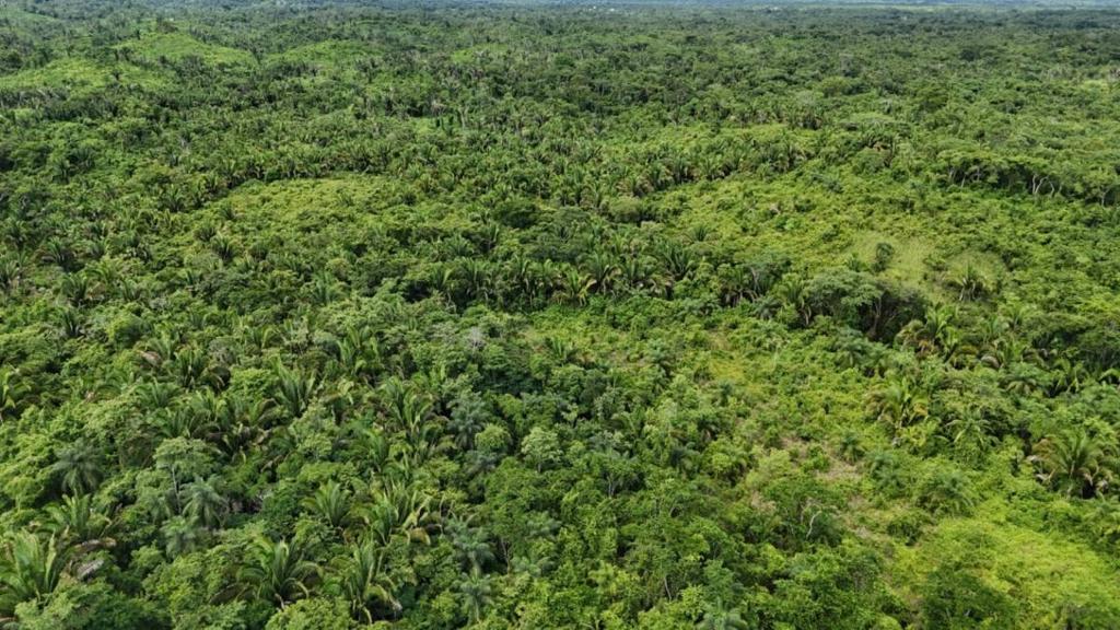 listing image with ID 67094