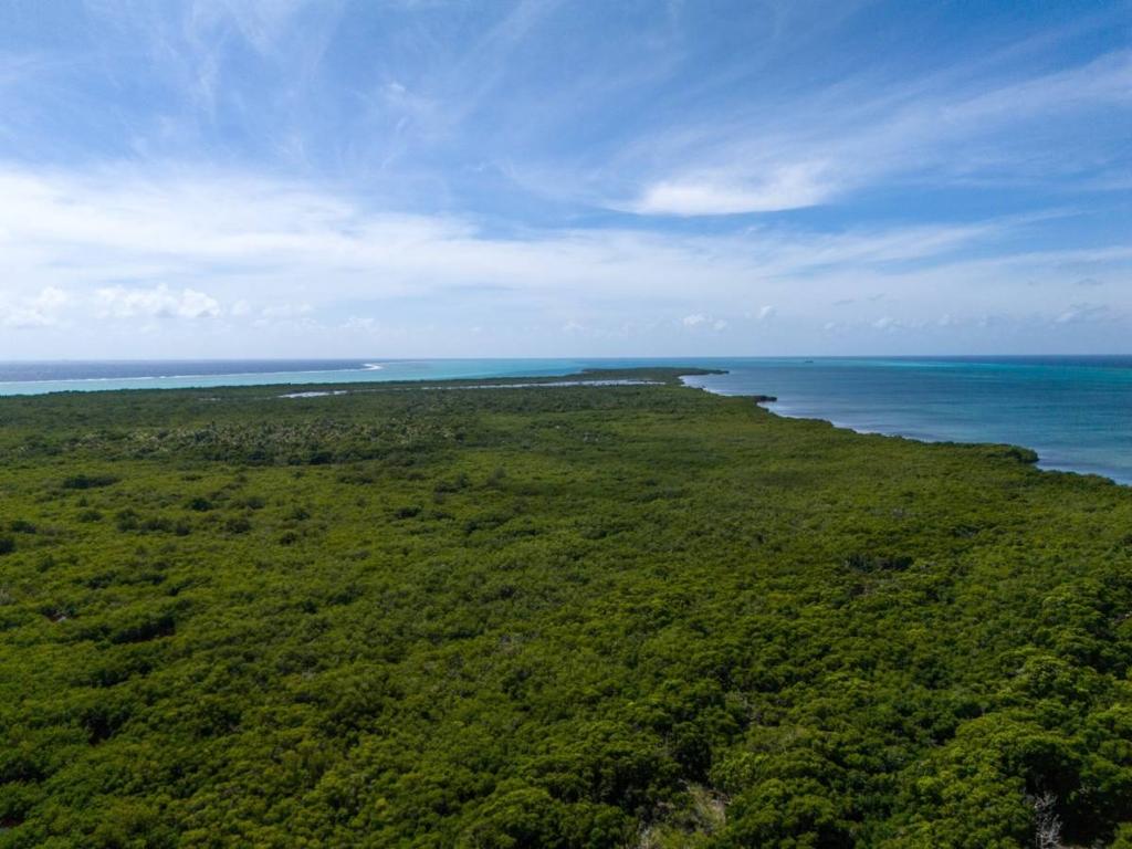 listing image with ID 65970