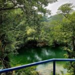 listing image thumbnail with ID 65563