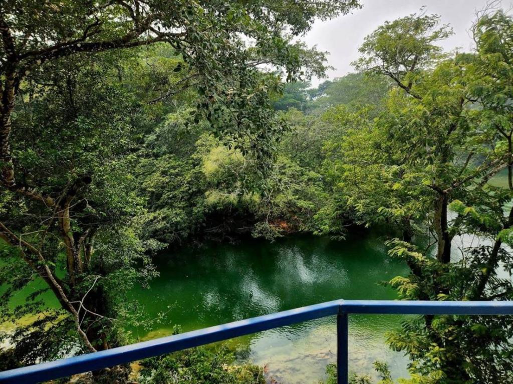 listing image with ID 65563