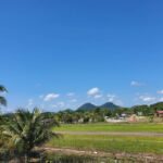 listing image thumbnail with ID 65482