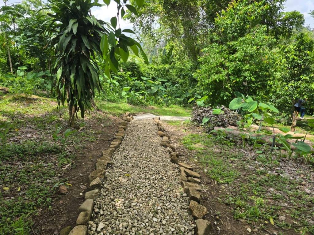 listing image with ID 68268