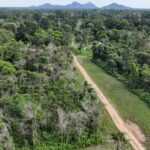 listing image thumbnail with ID 66551