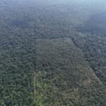 listing image thumbnail with ID 68077