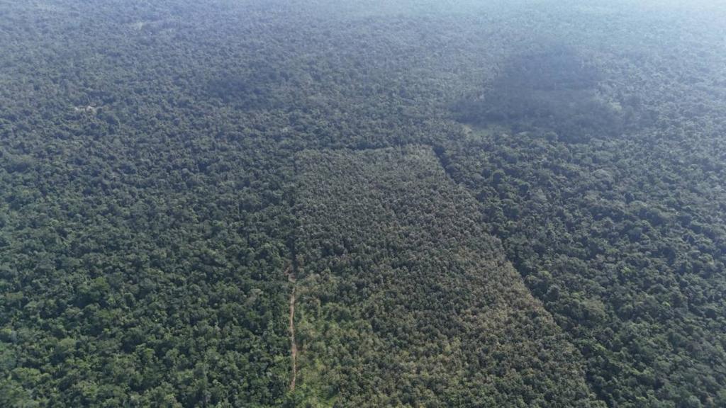 listing image with ID 68077