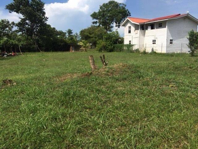 listing image with ID 67041