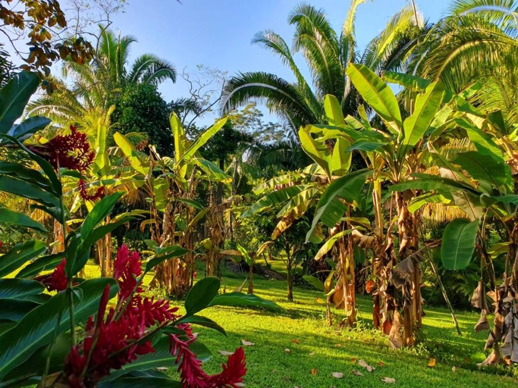 listing image with ID 67790