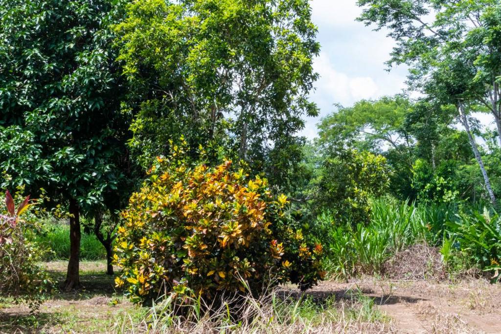 listing image with ID 67693