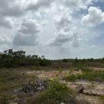 listing image thumbnail with ID 67918