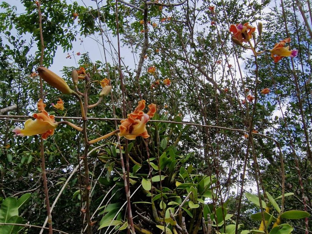 listing image with ID 63711