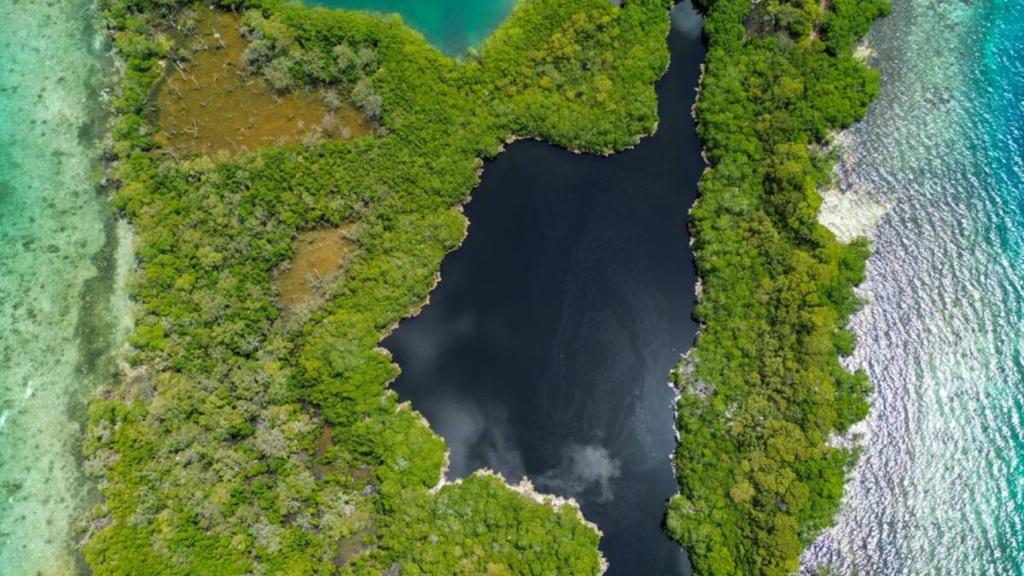 listing image with ID 65857