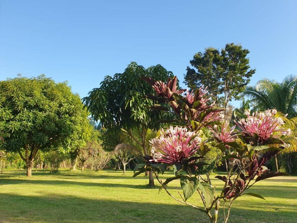 listing image with ID 67789