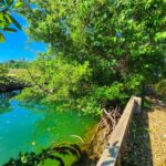 listing image thumbnail with ID 67282