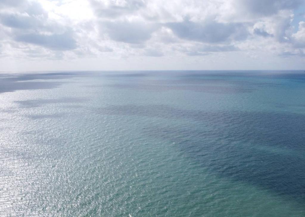 listing image with ID 64020