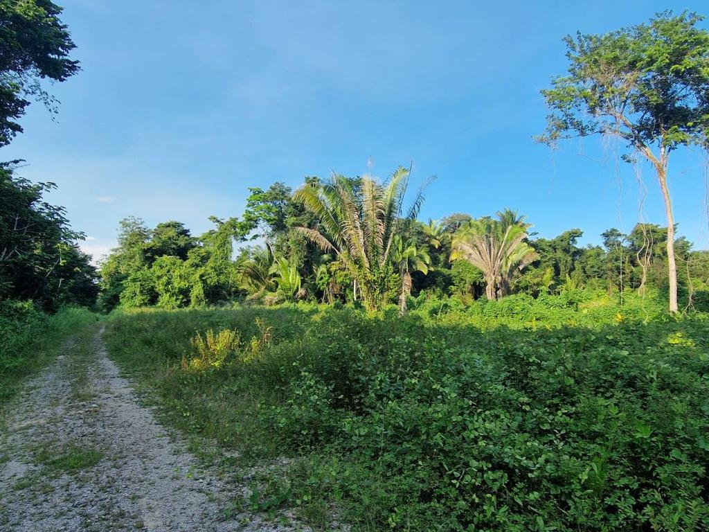 listing image with ID 64031