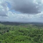 listing image thumbnail with ID 68267