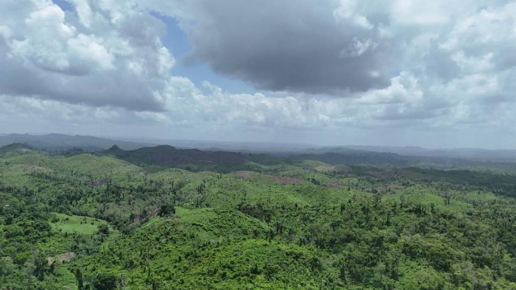 listing image with ID 68267