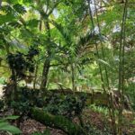 listing image thumbnail with ID 67495