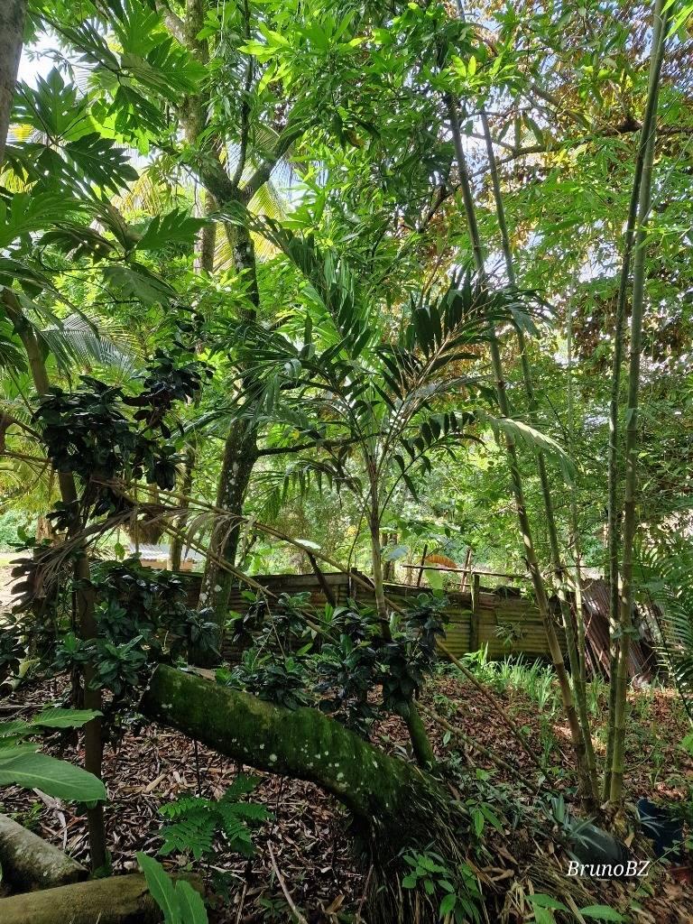 listing image with ID 67495