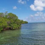 listing image thumbnail with ID 65401