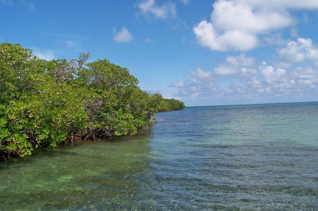 listing image with ID 65401