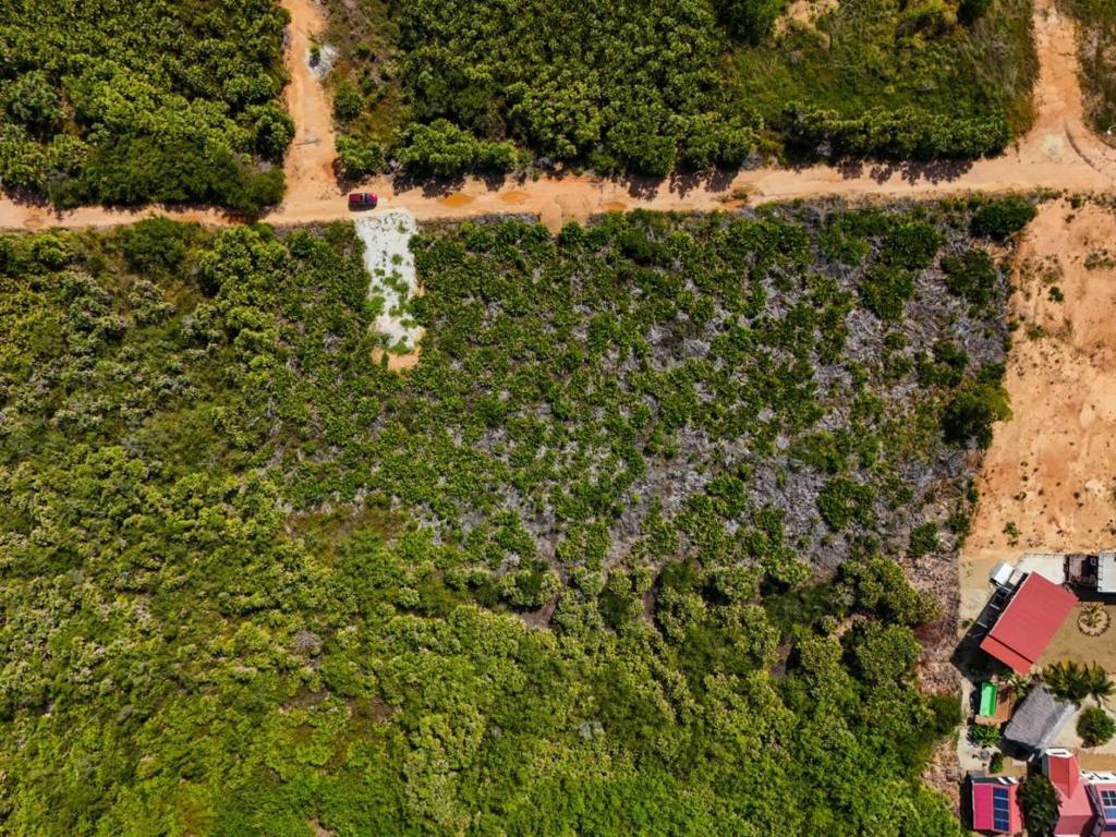 listing image with ID 68190