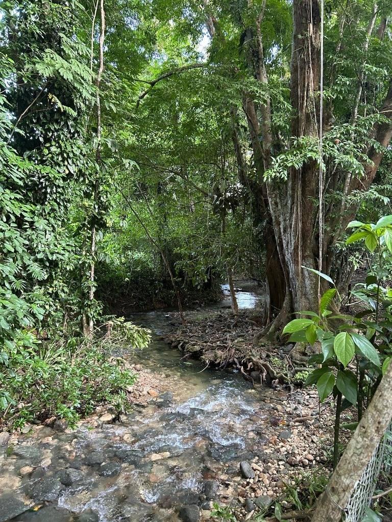 listing image with ID 65893