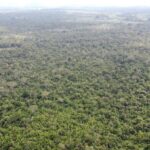 listing image thumbnail with ID 65044