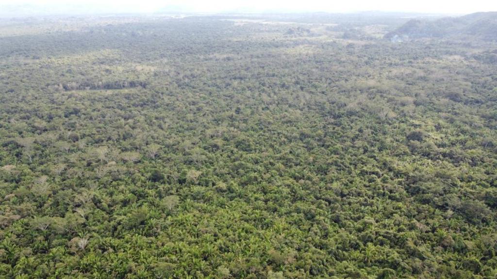 listing image with ID 65044