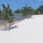 listing image thumbnail with ID 67635