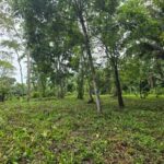 listing image thumbnail with ID 65243