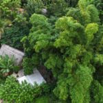 listing image thumbnail with ID 65891