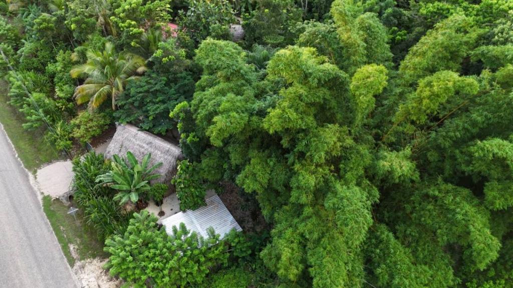 listing image with ID 65891