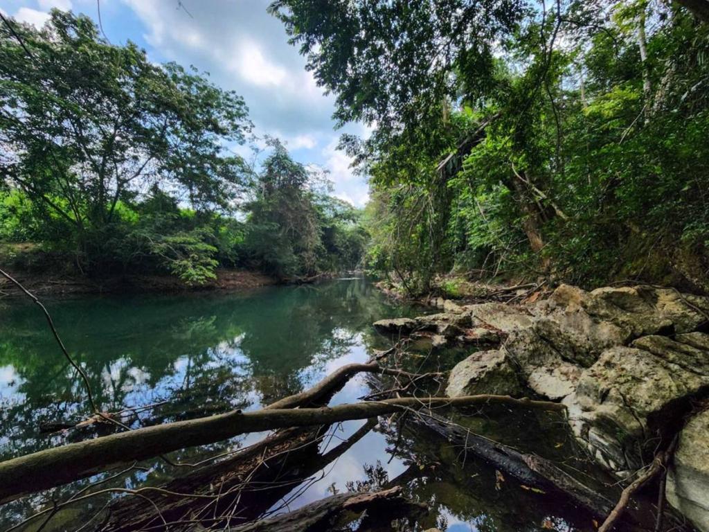 listing image with ID 69164