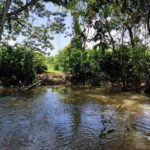 listing image thumbnail with ID 67900