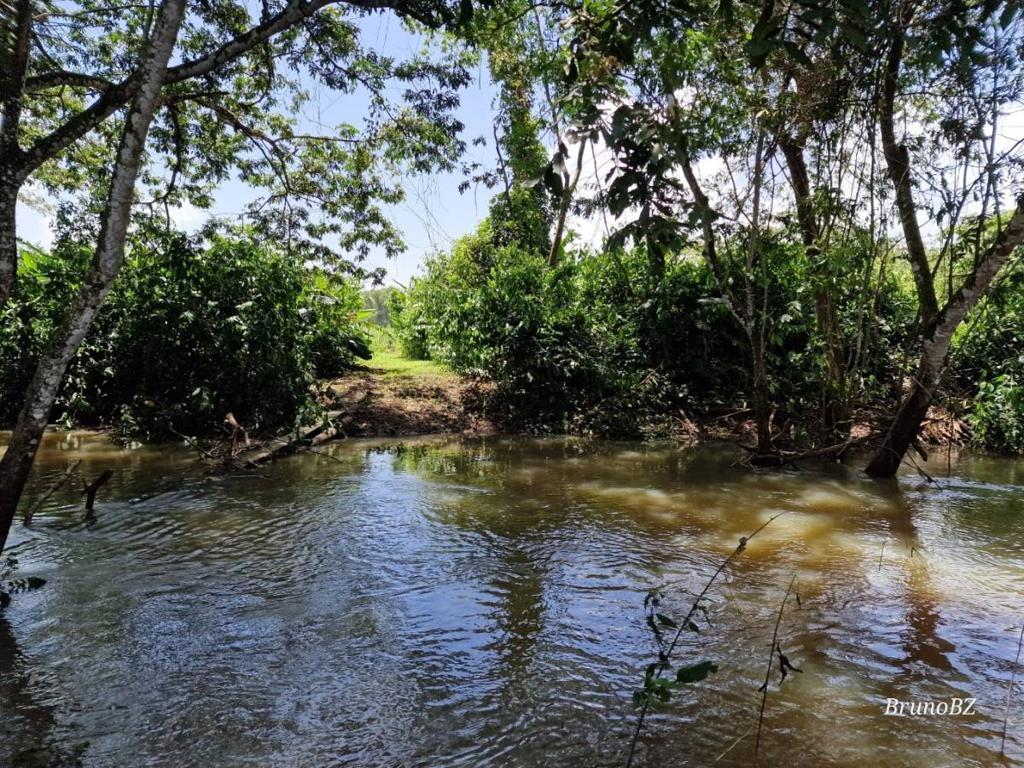 listing image with ID 67900