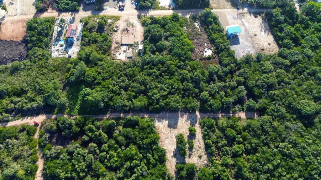 listing image with ID 67809